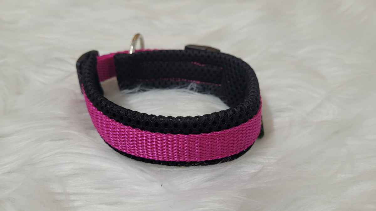 Halsband mit Zugentlastung, weich gepolstert, Gr. XS aus 15 mm breitem Gurtband