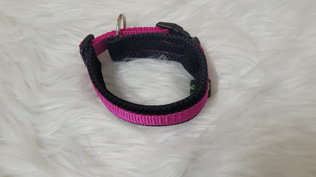 Halsband mit Zugentlastung, weich gepolstert, Gr. XS aus 15 mm breitem Gurtband