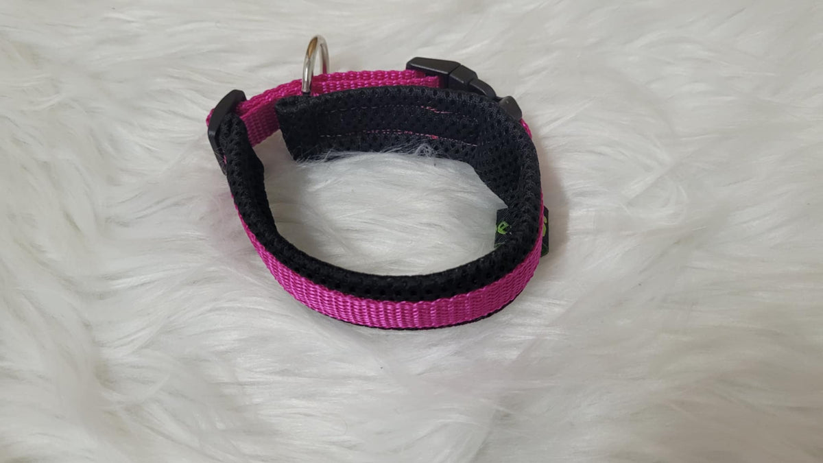 Halsband mit Zugentlastung, weich gepolstert, Gr. XS aus 15 mm breitem Gurtband