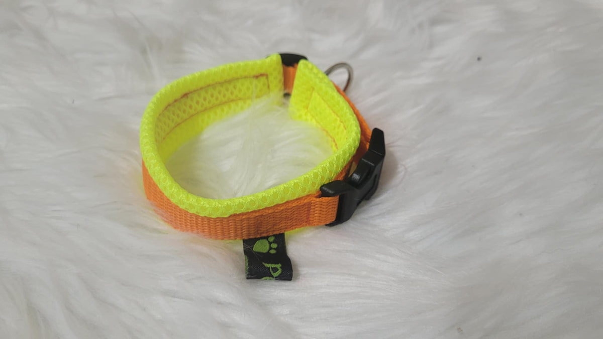 Halsband mit Zugentlastung, weich gepolstert, Gr. XS aus 15 mm breitem Gurtband