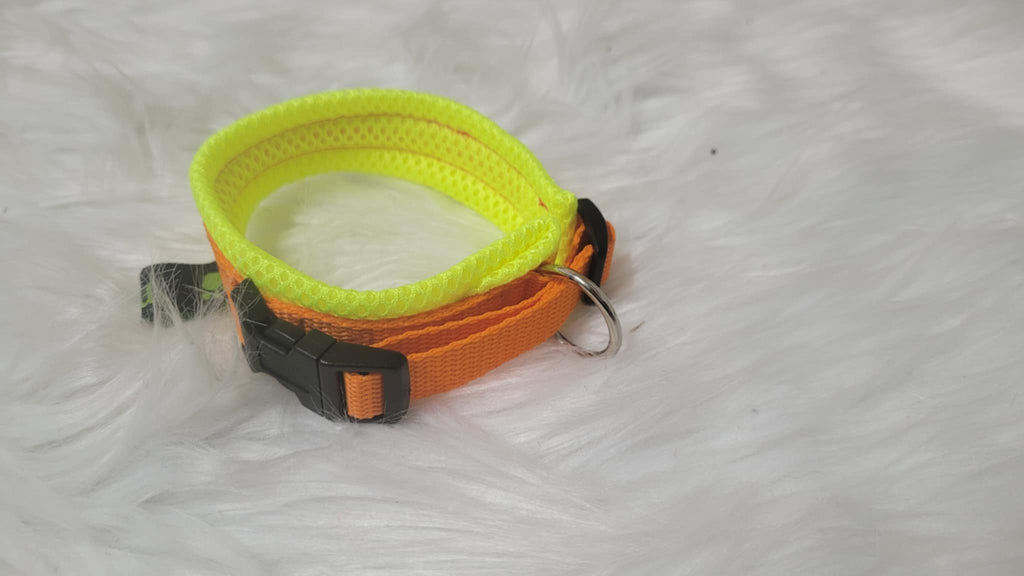 Halsband mit Zugentlastung, weich gepolstert, Gr. XS aus 15 mm breitem Gurtband