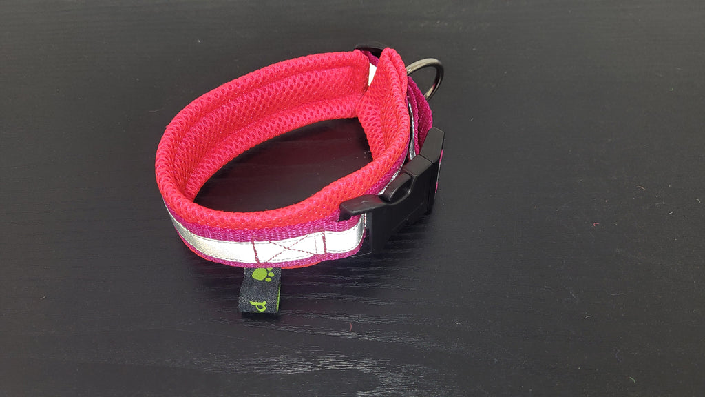 Halsband mit Zugentlastung, mit Reflektorband, weich gepolstert, Gr. S
