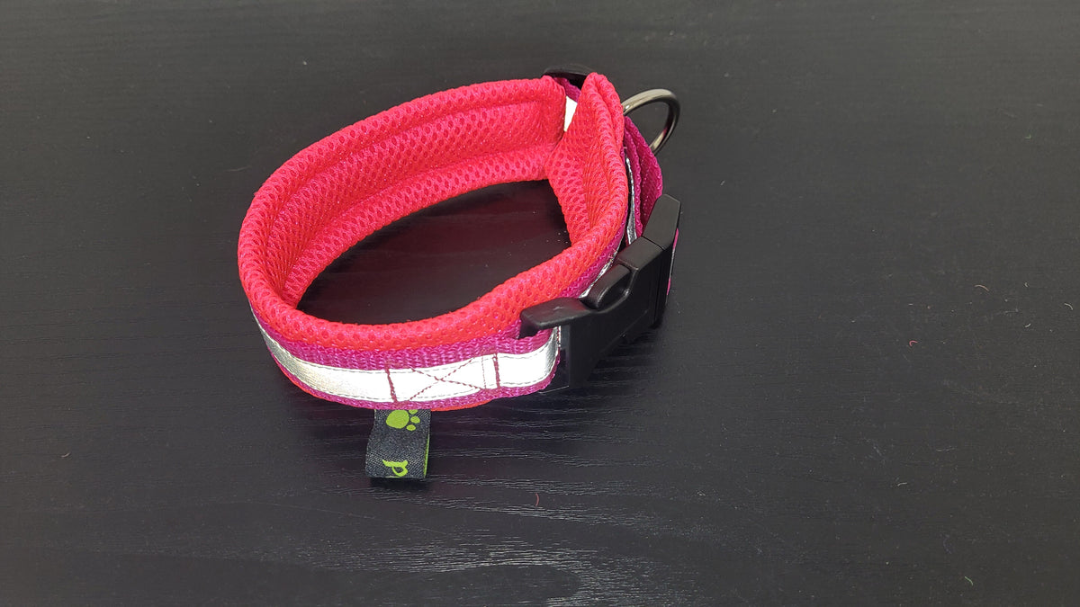 Halsband mit Zugentlastung, mit Reflektorband, weich gepolstert, Gr. M