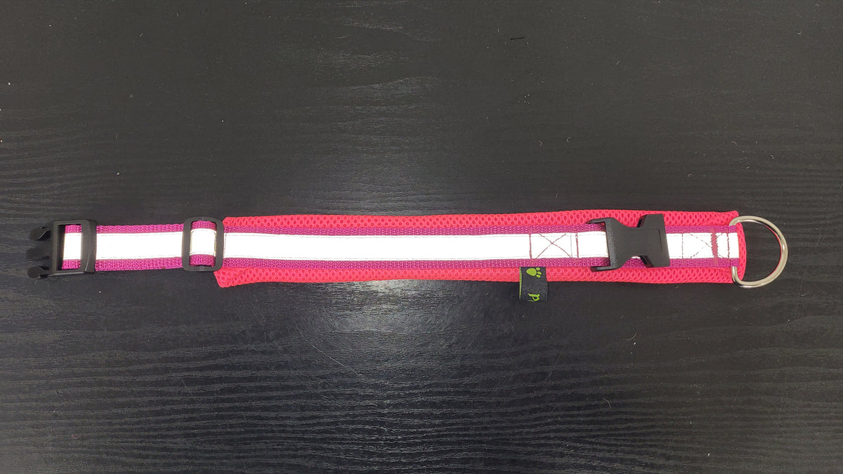 Halsband mit Zugentlastung, mit Reflektorband, weich gepolstert, Gr. M