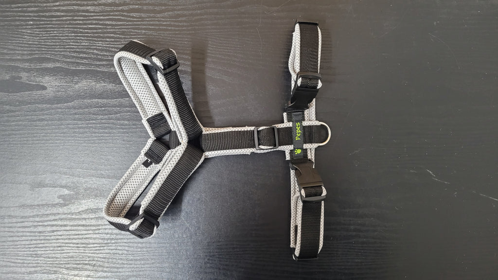 Führgeschirr, Gr. XL (aus 25 mm breitem Gurtband) mit Acetal Schiebern