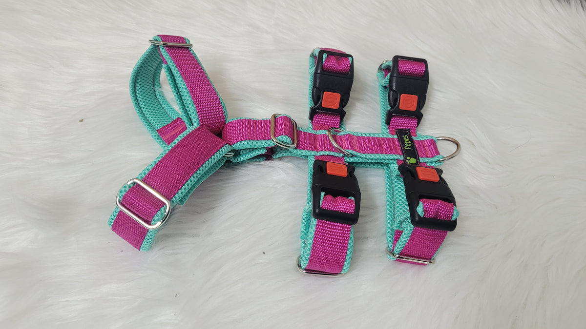 Sicherheitsgeschirr Gr. S (aus 25 mm breitem Gurtband) mit Metall Schiebern
