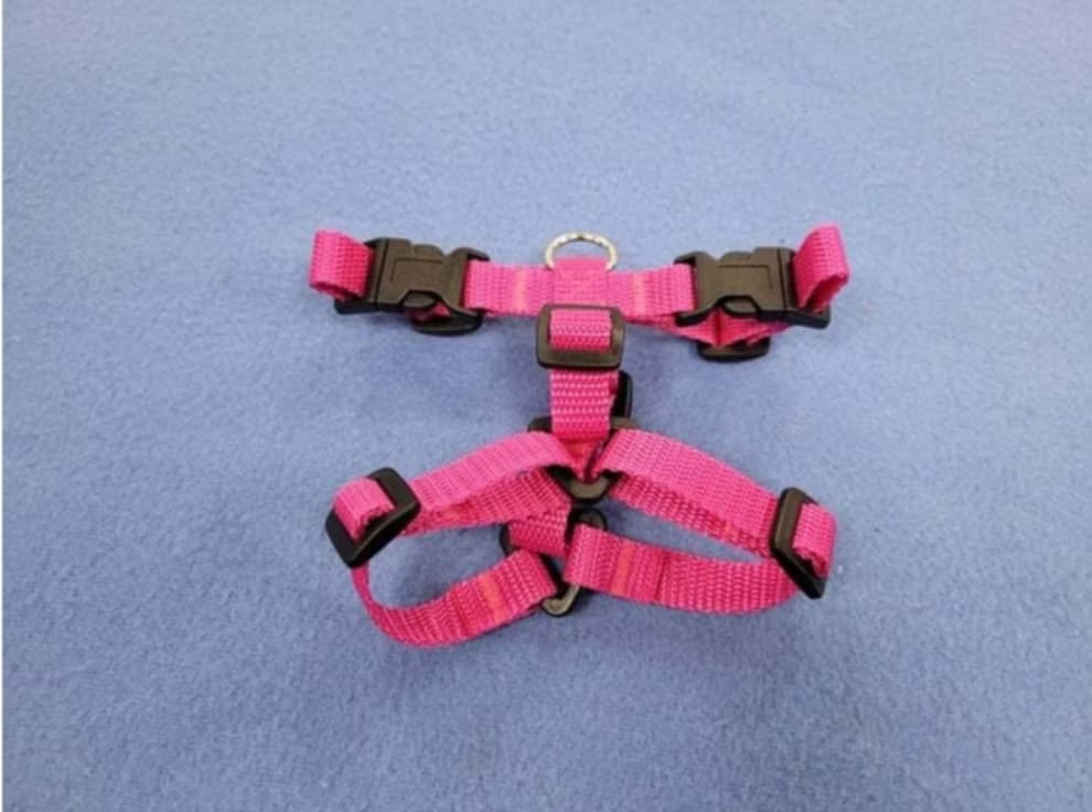 Führgeschirr, Gr. XXXS, ohne Polster (aus 15 mm breitem Gurtband)