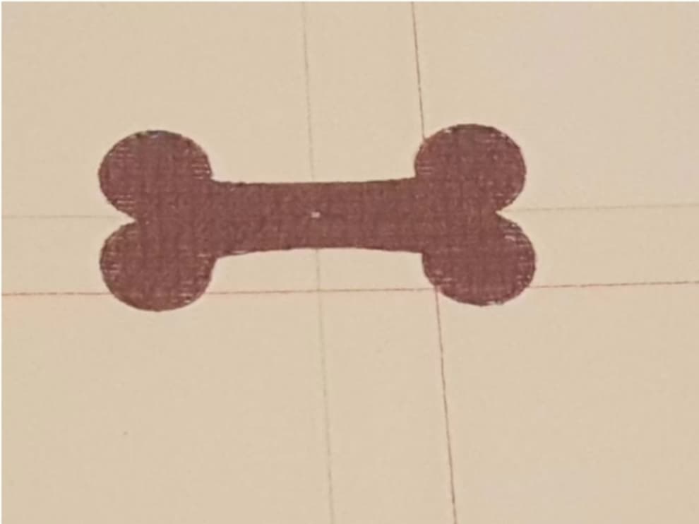 Knochen 17,7 x 35,8 mm