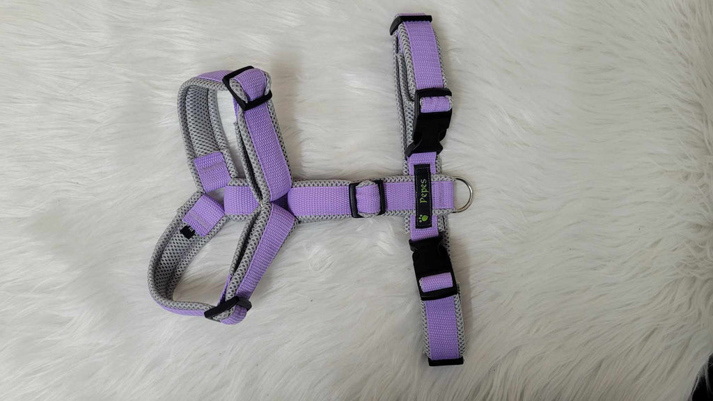 Führgeschirr, Gr. XL (aus 25 mm breitem Gurtband) mit Acetal Schiebern