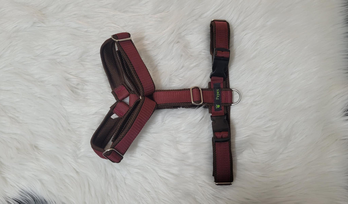Führgeschirr Gr. M (aus 25 mm breitem Gurtband) mit Metall Schiebern