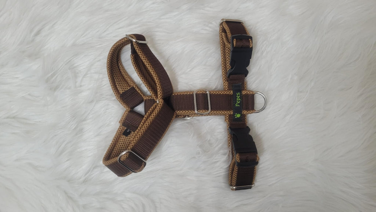 Führgeschirr, Gr. S (aus 25 mm breitem Gurtband) mit Metall Schiebern