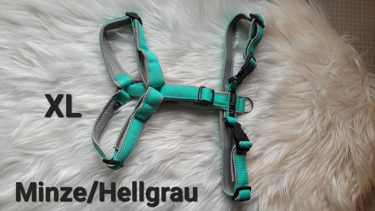 Führgeschirr, Gr. XL