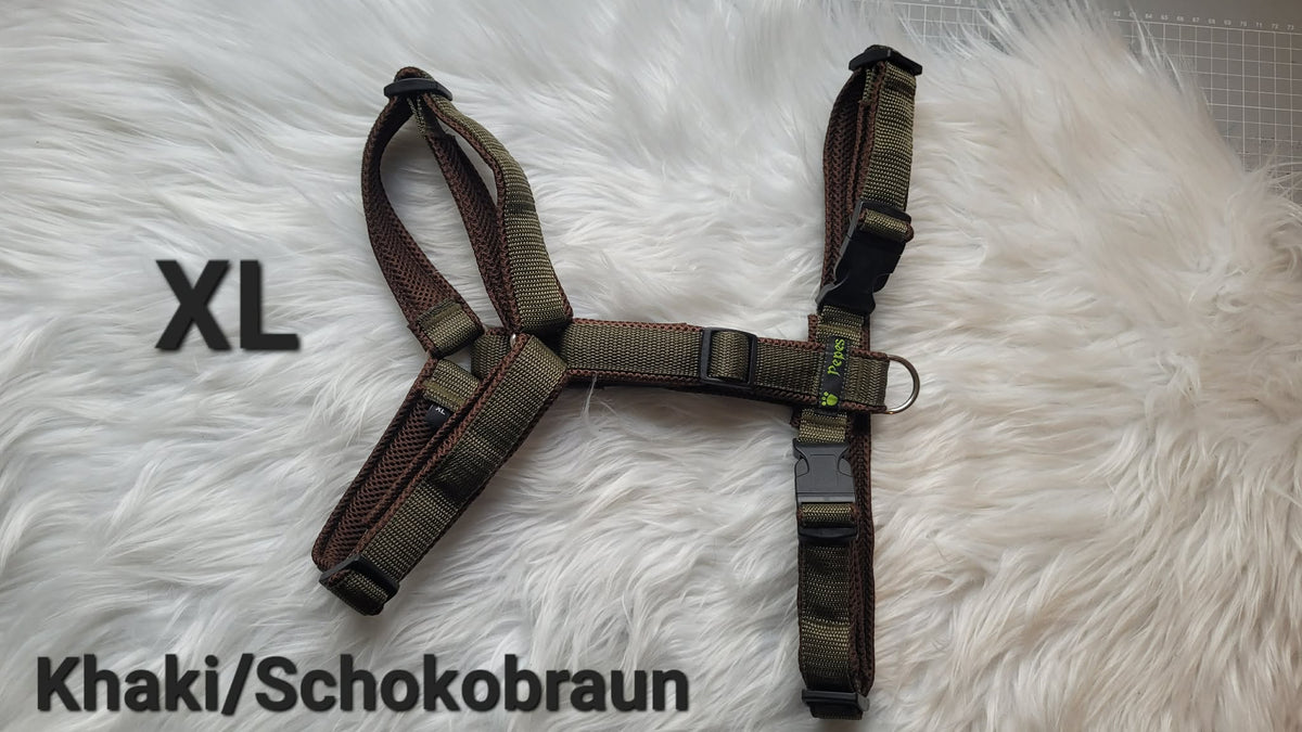 Führgeschirr, Gr. XL
