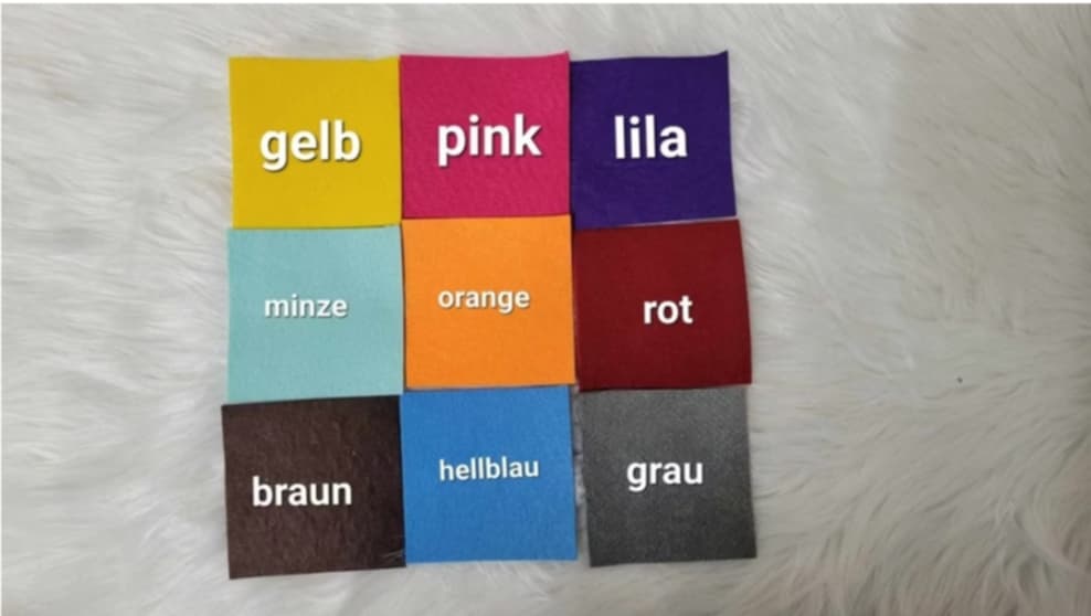 Impfpasshülle, aufklappbar