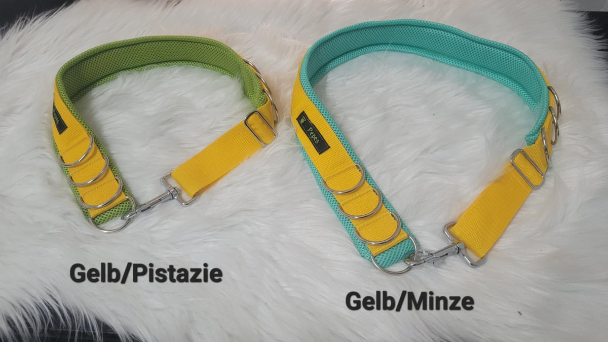 Social Dog Walk Gürtel - Der Gassigürtel (nicht nur) für Mehrhundehalter, Gr. 3 (100 - 110 cm)