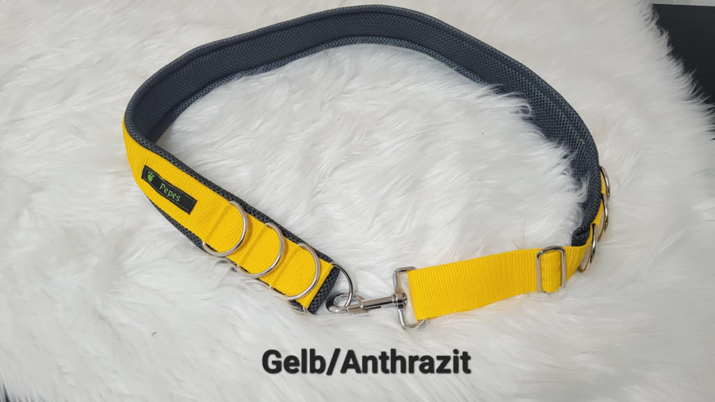 Social Dog Walk Gürtel - Der Gassigürtel (nicht nur) für Mehrhundehalter, Gr. 3 (100 - 110 cm)