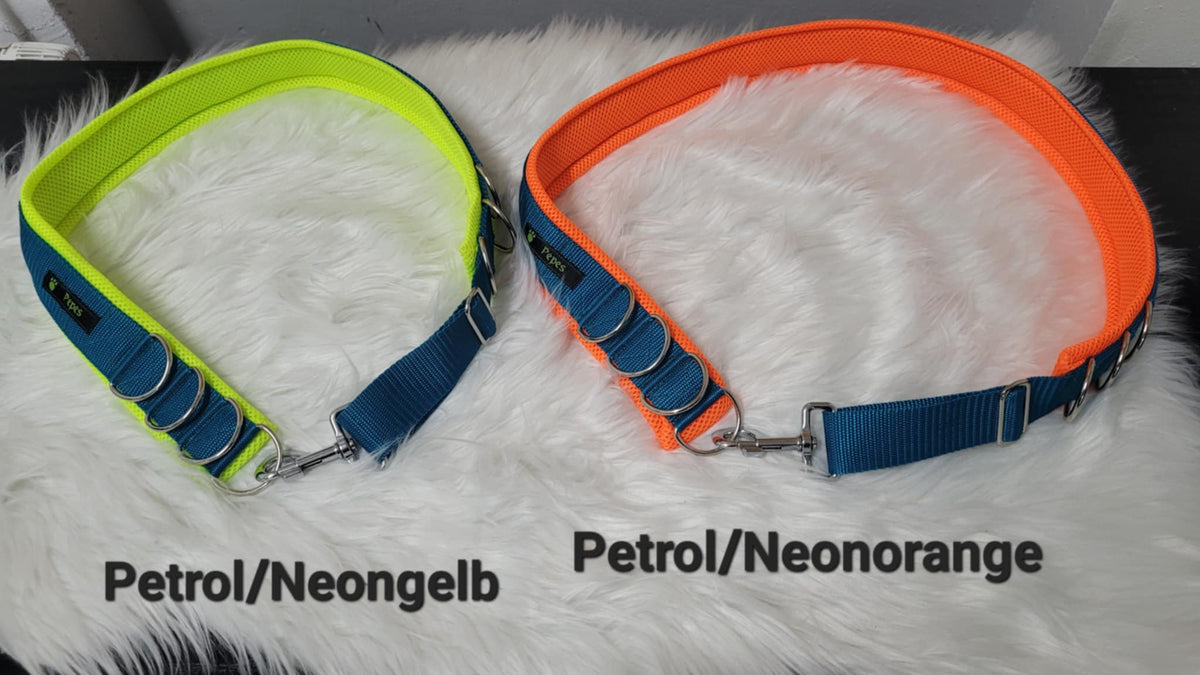 Social Dog Walk Gürtel - Der Gassigürtel (nicht nur) für Mehrhundehalter, Gr. 3 (100 - 110 cm)
