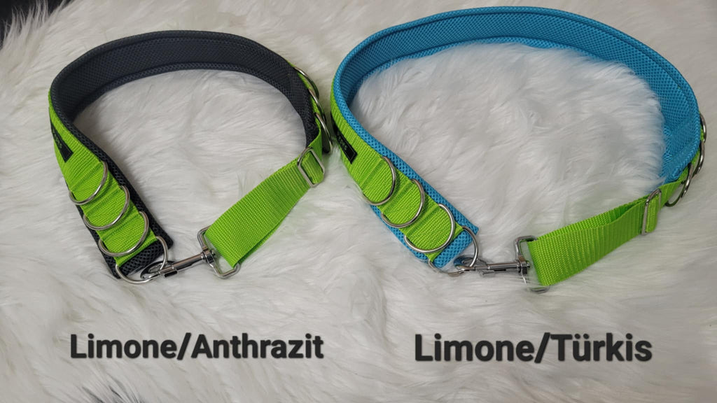 Social Dog Walk Gürtel - Der Gassigürtel (nicht nur) für Mehrhundehalter, Gr. 3 (100 - 110 cm)