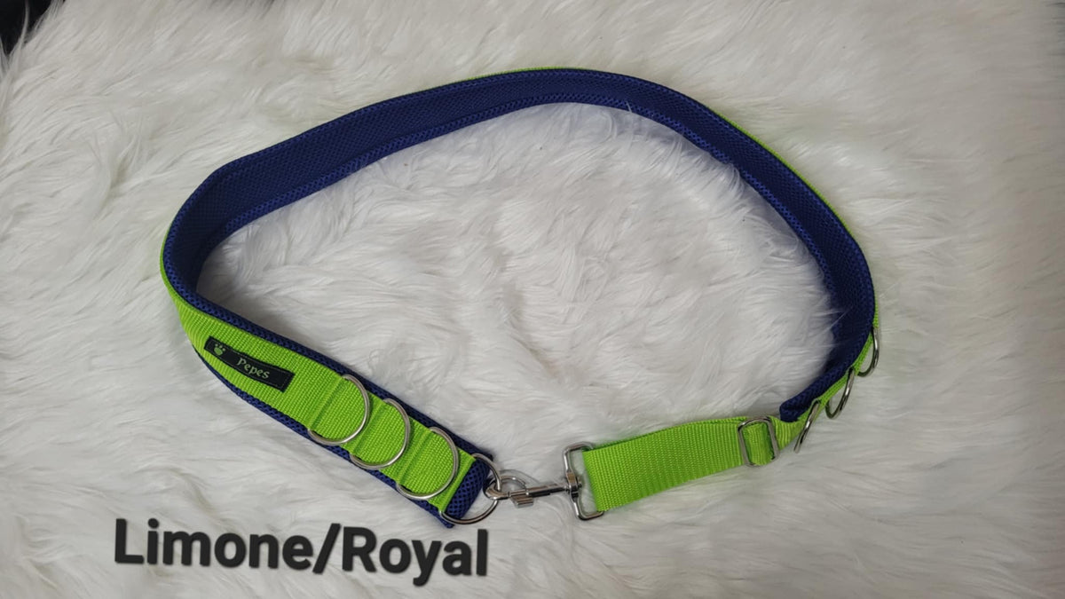Social Dog Walk Gürtel - Der Gassigürtel (nicht nur) für Mehrhundehalter, Gr. 3 (100 - 110 cm)