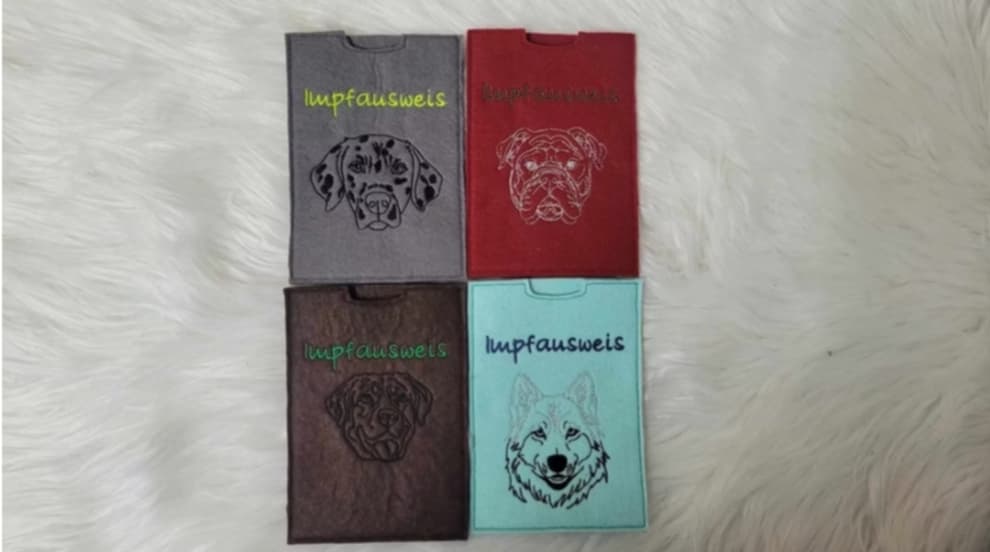 Impfpasshülle, Einsteckhülle