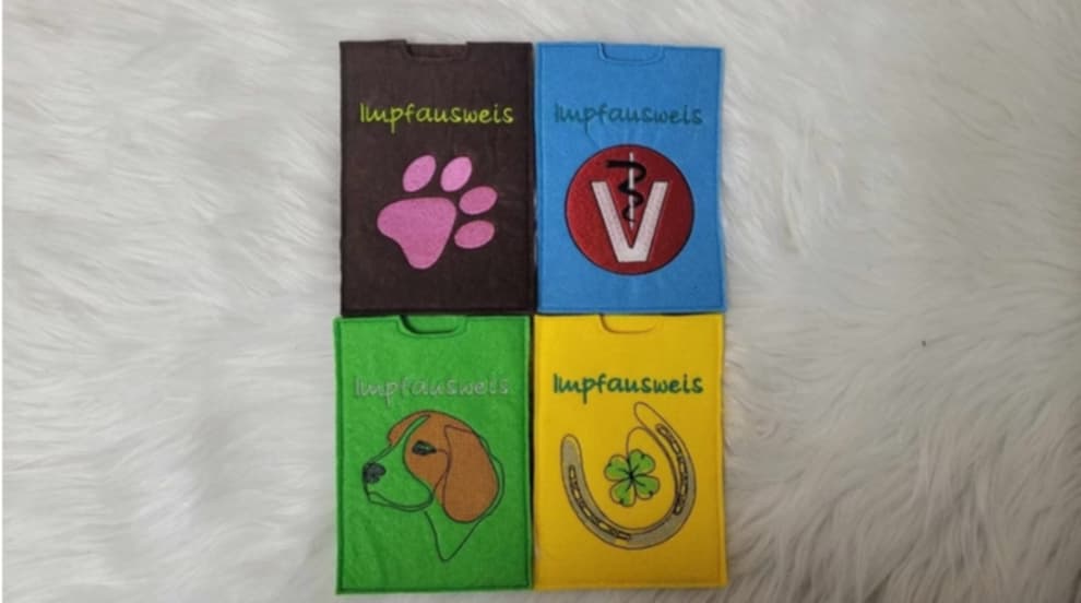 Impfpasshülle, Einsteckhülle