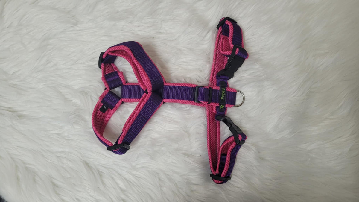 Führgeschirr, Gr. L (aus 25 mm breitem Gurtband) mit Acetal Schiebern