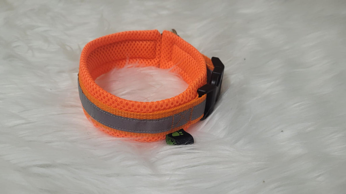 Halsband mit Zugentlastung, mit Reflektorband, weich gepolstert, Gr. M