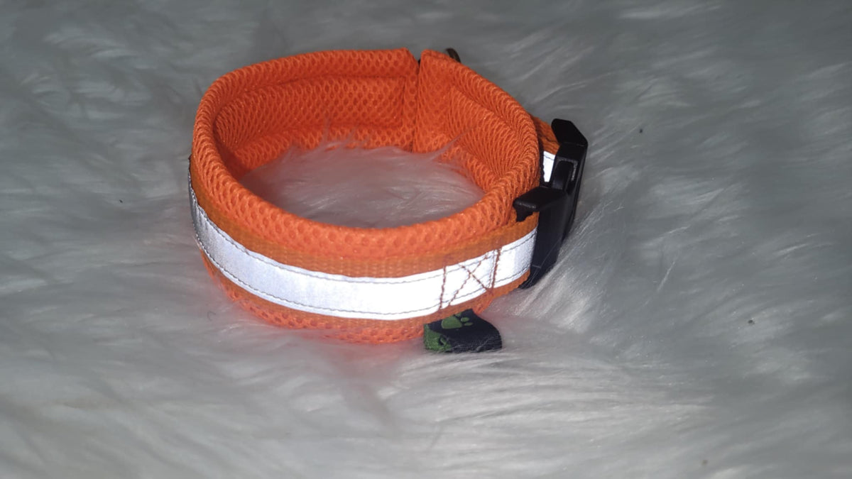 Halsband mit Zugentlastung, mit Reflektorband, weich gepolstert, Gr. M