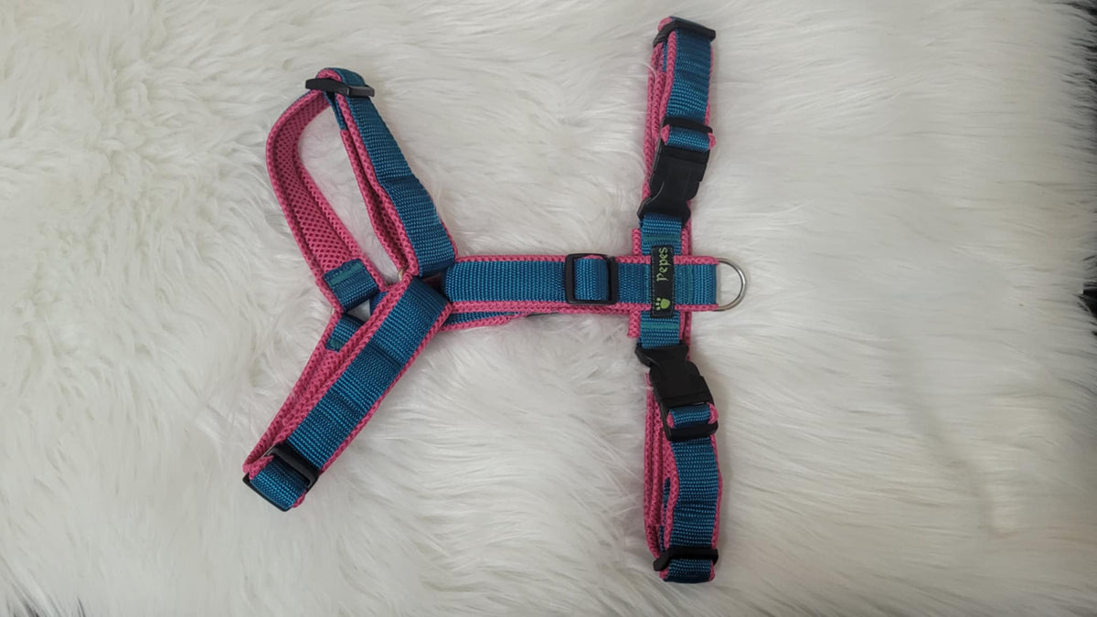Führgeschirr, Gr. L (aus 25 mm breitem Gurtband) mit Acetal Schiebern