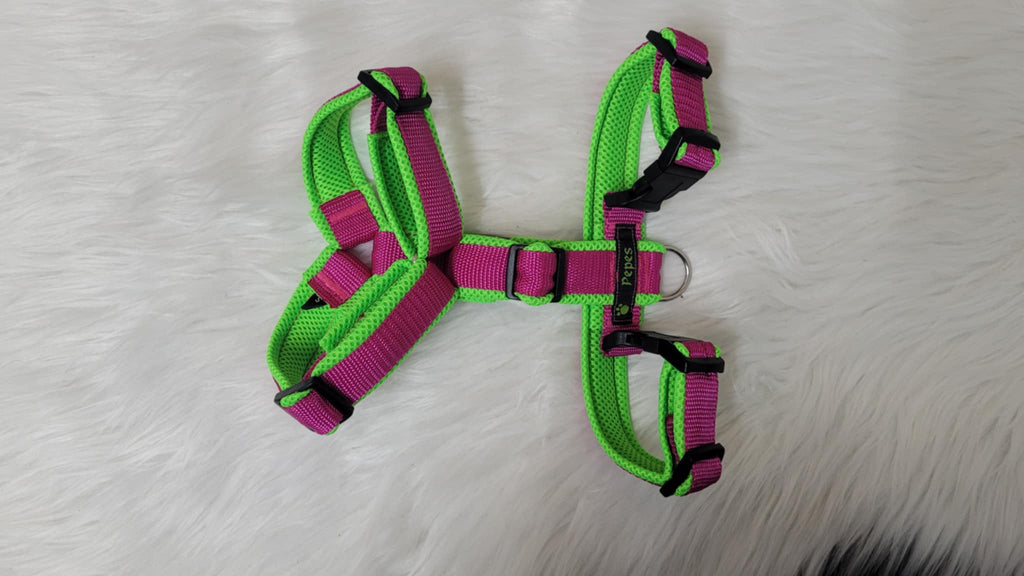 Führgeschirr, Gr. XL (aus 25 mm breitem Gurtband) mit Acetal Schiebern