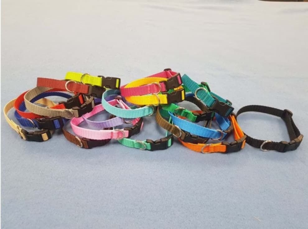 Welpenhalsband