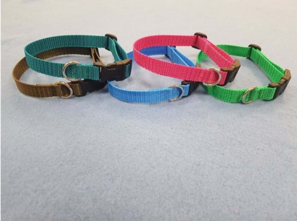 Welpenhalsband