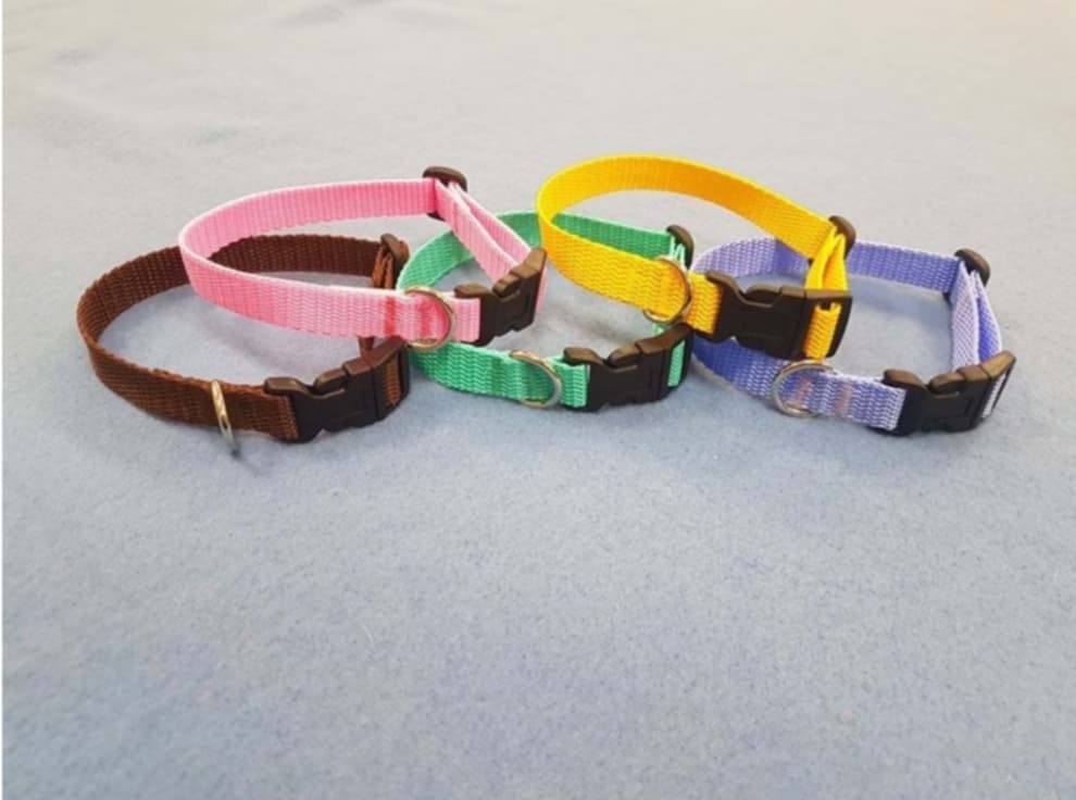 Welpenhalsband