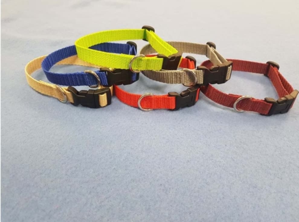Welpenhalsband
