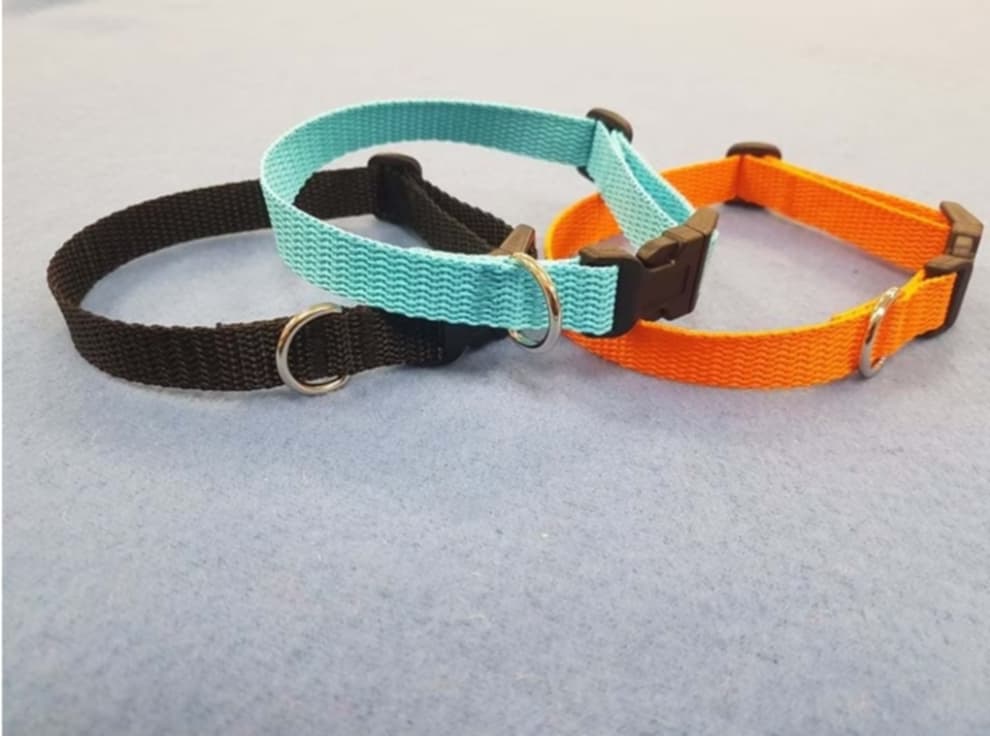 Welpenhalsband