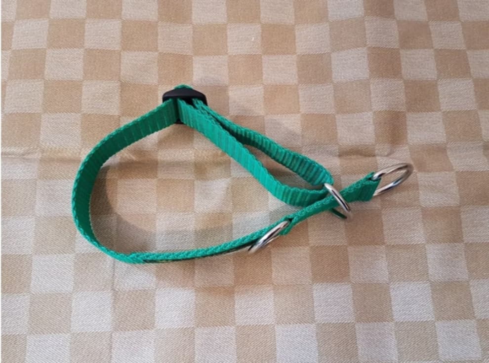 Zugstopphalsband, OHNE Polster in 2 Größen