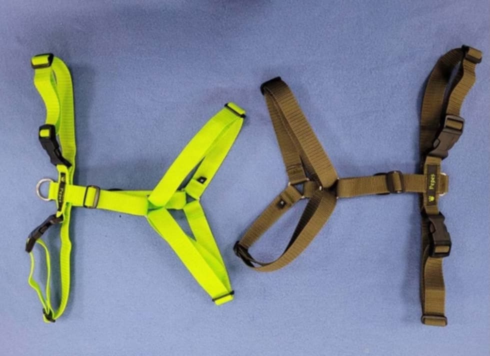 Führgeschirr, Gr. M, ohne Polster (aus 25 mm breitem Gurtband)