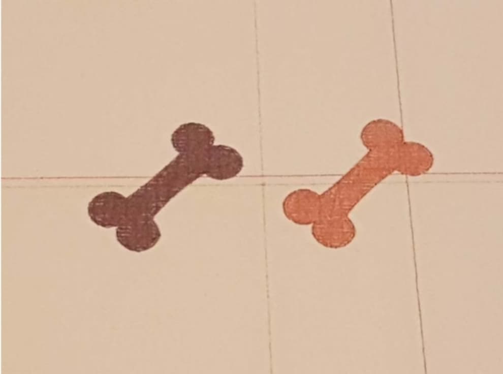 Knochenset 20,4 x 46,6 mm